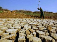 L'Algérie 'uvre pour la réussite de la COP 21, souligne Nouri