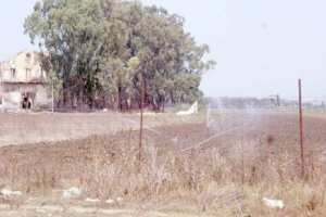 الري الفلاحي يحتاج إلى ري في سكيكدة