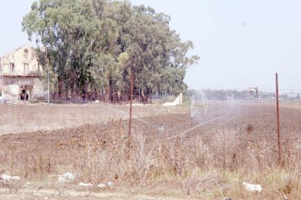 الري الفلاحي يحتاج إلى ري في سكيكدة