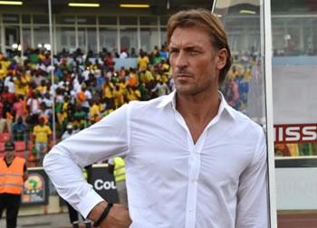 Renard l'homme idéal pour l'EN'