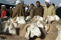 La labellisation nécessite davantage d'accompagnement scientifique