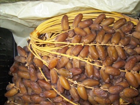 إفتاح صالون التمور في طولقة ببسكرة