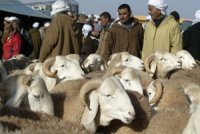 La labellisation nécessite davantage d'accompagnement scientifique