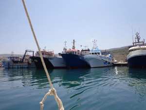 في إطار التعاون التقني في مجال تربية المائيات بعين تموشنت