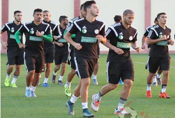 Les Verts optimistes