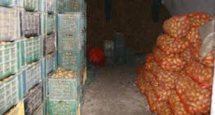 السقي و التسويق و التخزين مشاكل الواقع الفلاحي بمعسكر