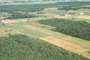 La concession de gré à gré au centre d'un débat