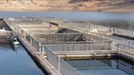 خبير كوري يعاين مواقع تربية الأسماك والصيد القاري بسطيف