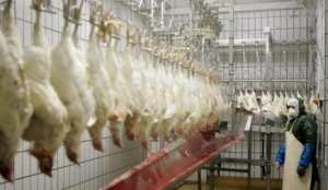 اعتصام أصحاب مذابح الدواجن أمام مديرية الفلاحة بتيارت