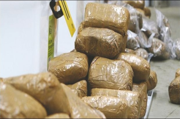 Trois réseaux de trafic de drogue démantelés