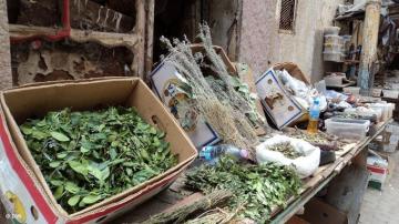 بائعو الاعشاب في مستغانم ينشطون في غياب الرقابة