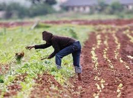 تزايد رغبات المواطنين في العودة إلى الأرياف بباتنة