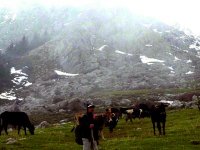 Des Algériens retrouvent les chemins de la campagne
