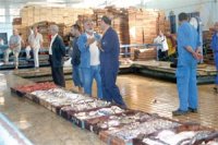 Les poissonniers et les marins-pêcheurs inquiets