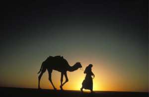 نبذة تاريخية عن أوقروت