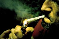 « C'est l'affaire de tous, y compris des imams », selon Abidat