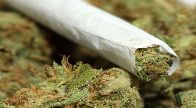 La LADDH accuse le Royaume chérifien d’inonder l’Algérie par  la Drogue