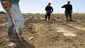 Les agriculteurs ont rendez-vous avec le gouvernement