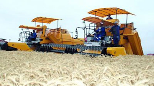 Près de 1 000 hectares labourés