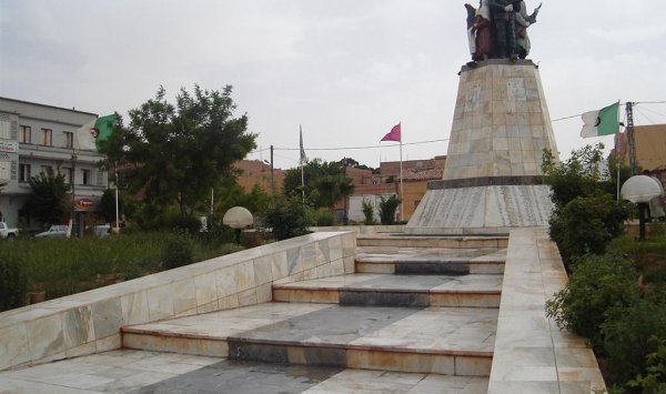 والي البيض دون بروتوكول