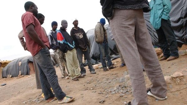 ترحيل 294 رعية نيجرية من تمنراست إلى بلدهم الأصلي