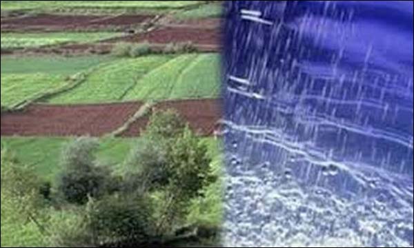 توسع المساحات المسقية بالرش المحوري عبر ولاية المسيلة