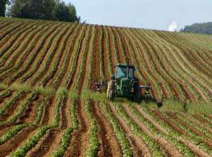 Développement de l'agriculture de montagne