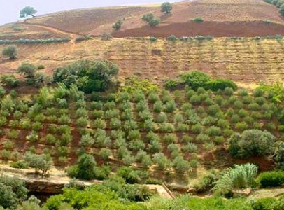 Projet de proximité de développement rural intégré