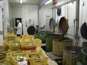 اختتام فعاليات الصالون المحلي لمنتجات المستفيدين من القرض المصغر بباتنة