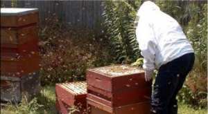  صندوق التنمية الريفية يرصد 210 ملايين دينار لفلاحي جيجل