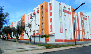 La livraison des 48 LSP de Tamda retardée