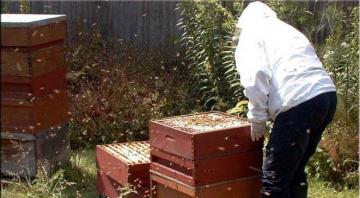  صندوق التنمية الريفية يرصد 210 ملايين دينار لفلاحي جيجل