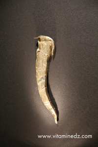 Mohamed Redha SKANDER - Algérie