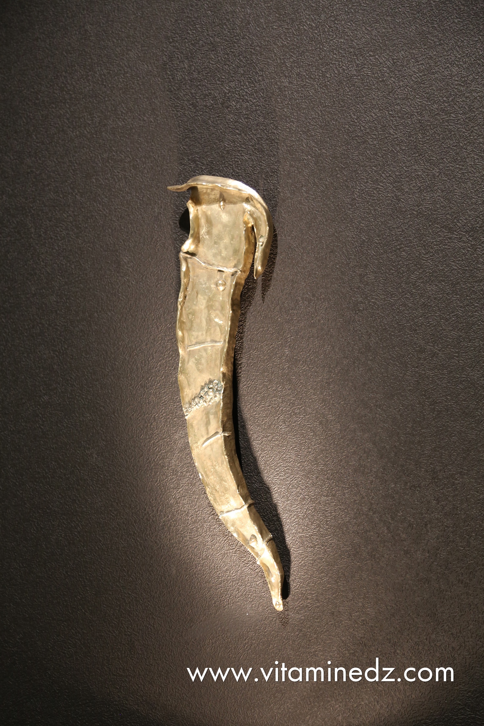 Mohamed Redha SKANDER - Algérie