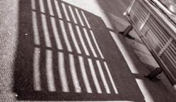 الفنان التشكيلي مجادي رابح              بين الظل والضوء