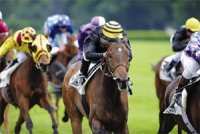 KOUHEILI SUR SA LANCEE