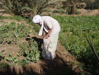 Intelligence et innovation