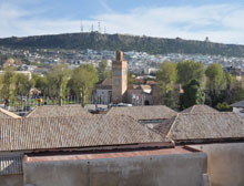 Tlemcen / Bois, liège, miel, fruits exotiques...