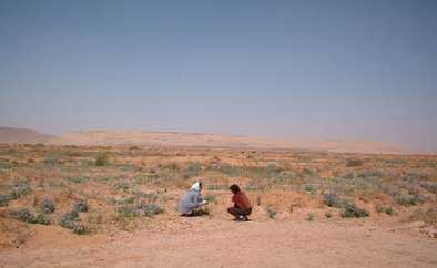 Près de 62% des communes de l'Algérie sont classées 