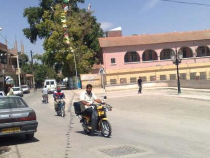 تحويل نڤاوس بباتنة إلى قطب فلاحي وصناعي