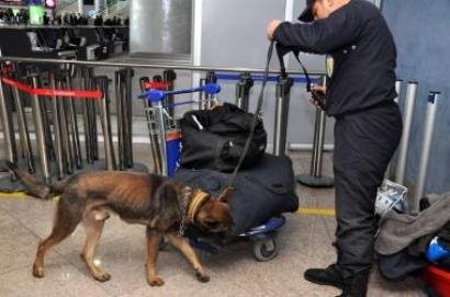 إحباط محاولة تهريب طفلة من تلمسان إلى فرنسا عبر إسبانيا