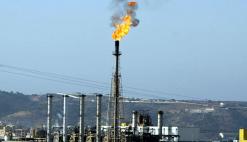 فيما انخفض سعر البرنت في الأسواق              سعر سلة 