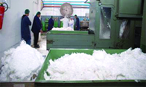 Ils réclament le versement de leur salaire