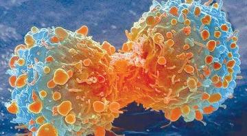 السرطان يهدد 3 آلاف شخص من روّاد مركز تكوين الجلفة