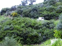 Des plans d'actions pour la mise en valeur des ressources génétiques