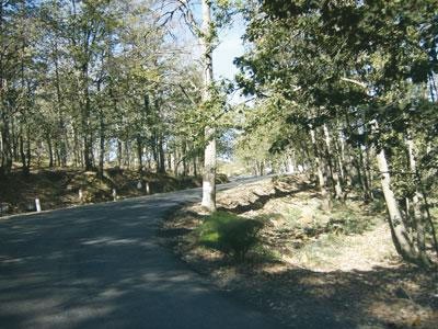 Harrouza sera transformée en forêt récréative