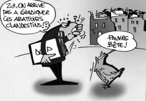 Commercialisation de viandes d'origine douteuse