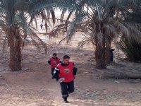 Du sport... et du tourisme