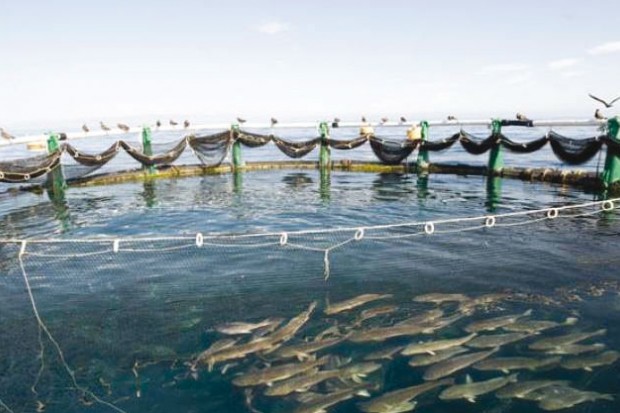 Un partenariat avec la Tunisie à l'ordre du jour