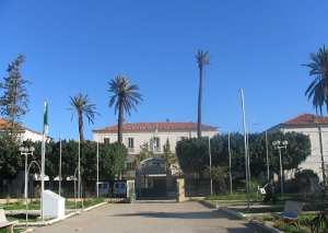 البلاد  تحرك والي غليزان